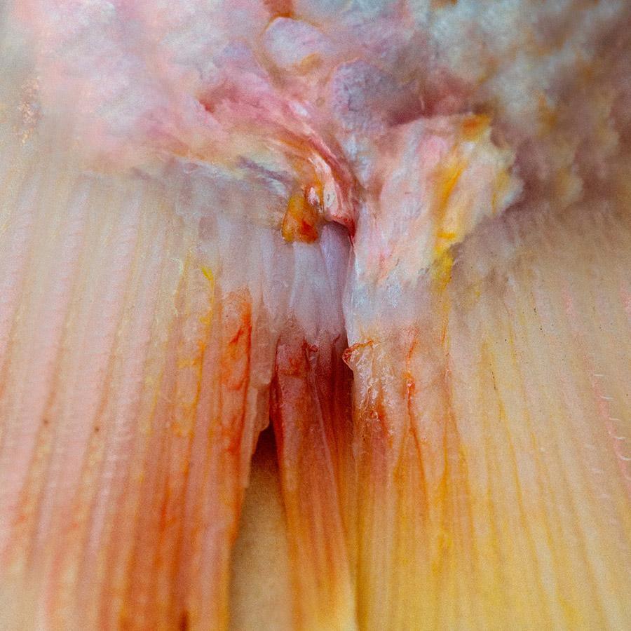 Photograph by Katie Burdon