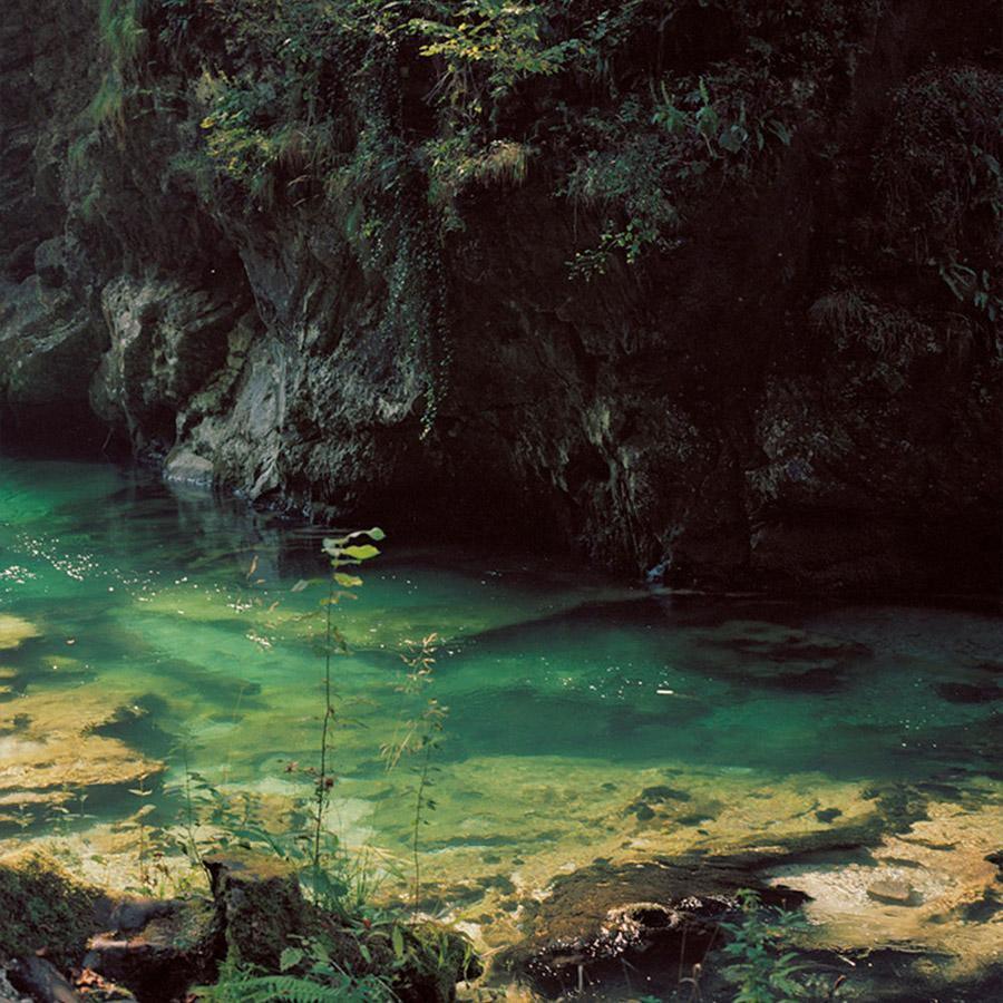 Photograph by Katie Burdon