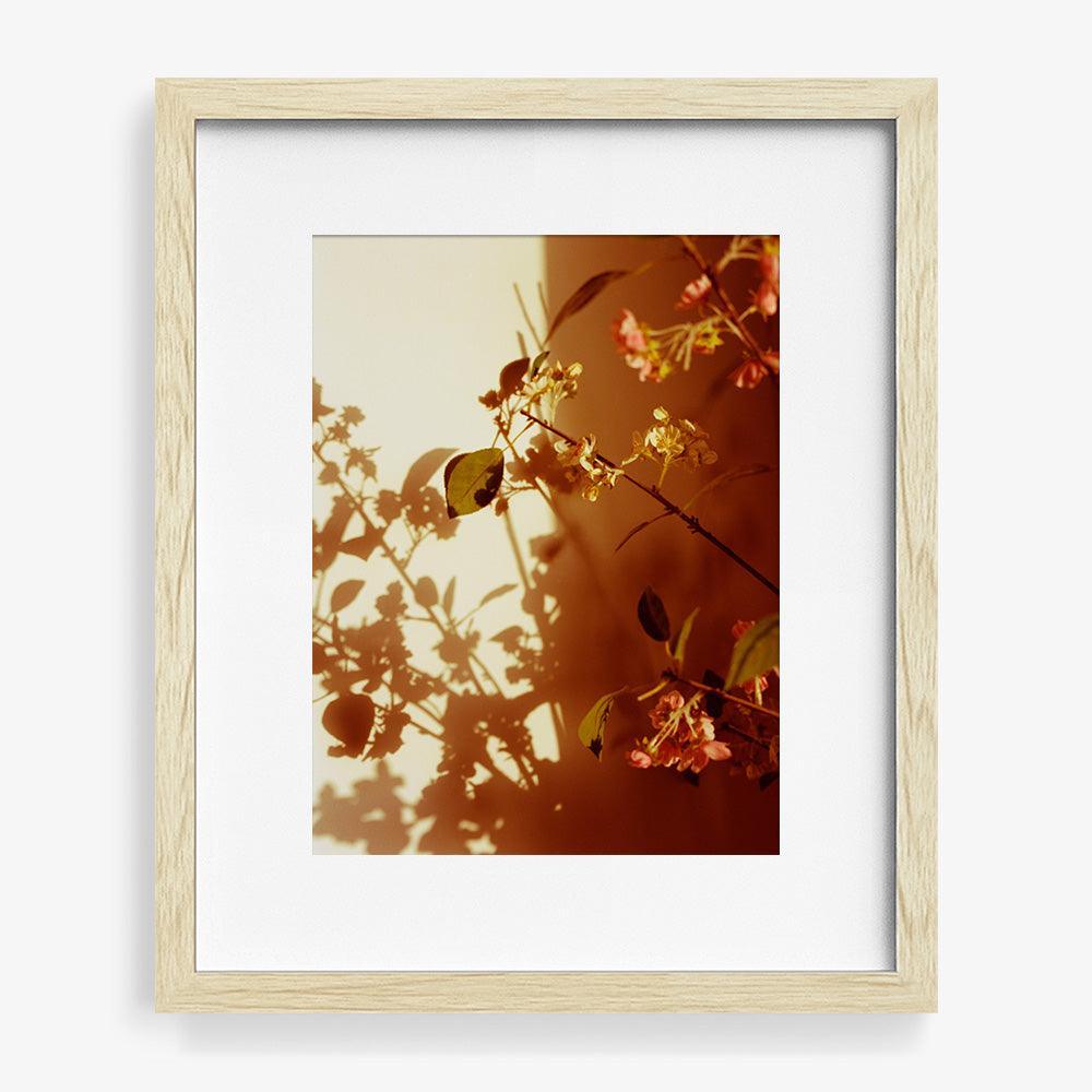 Photograph by Katie Burdon