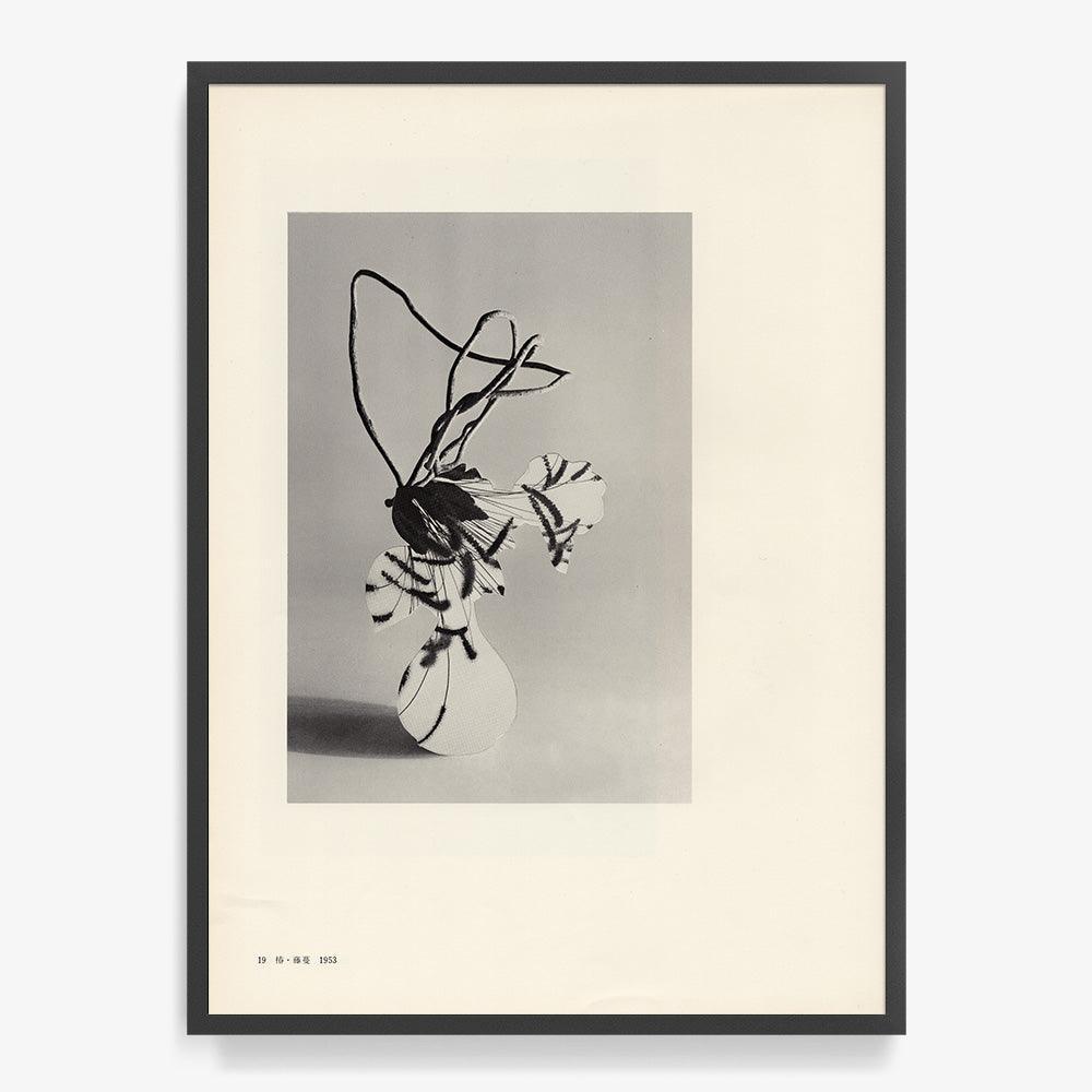Print by Leigh Wells