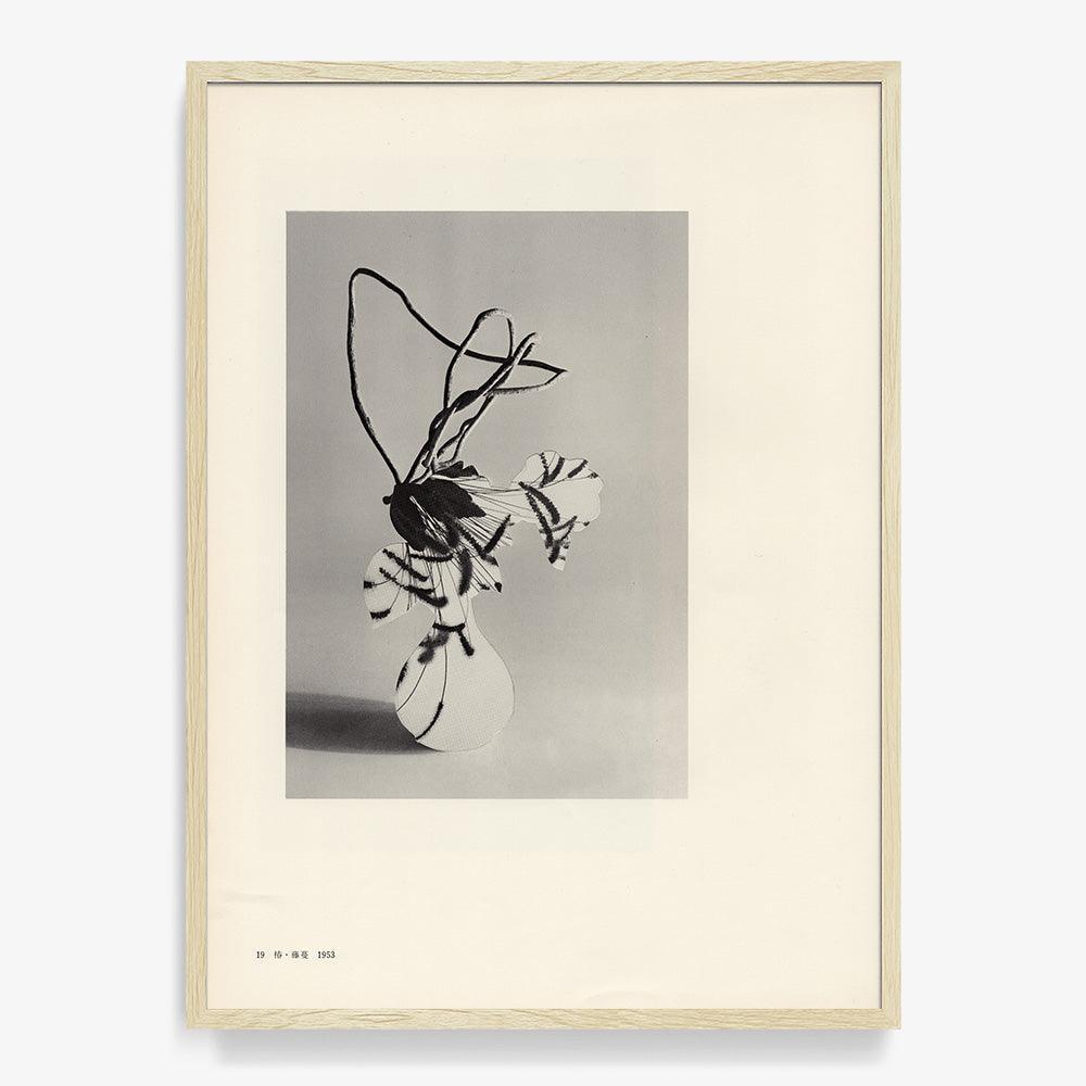 Print by Leigh Wells