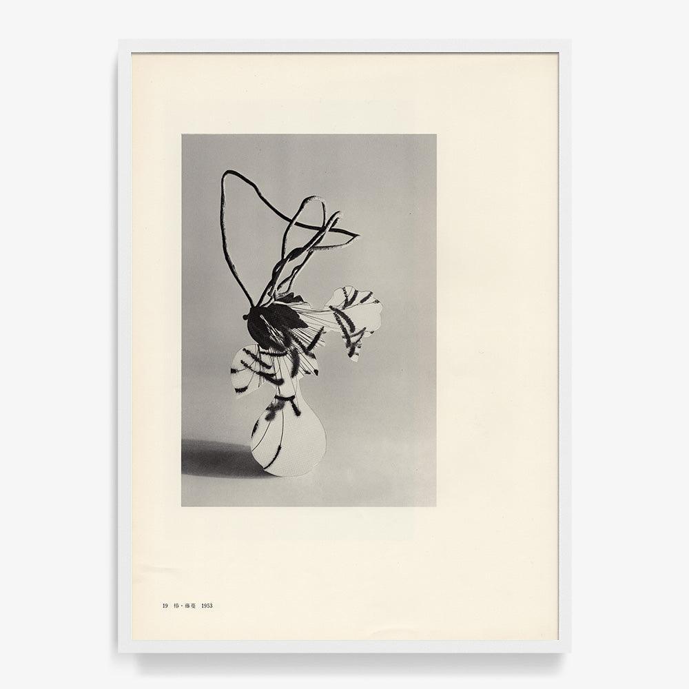 Print by Leigh Wells