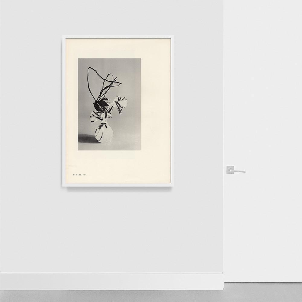 Print by Leigh Wells