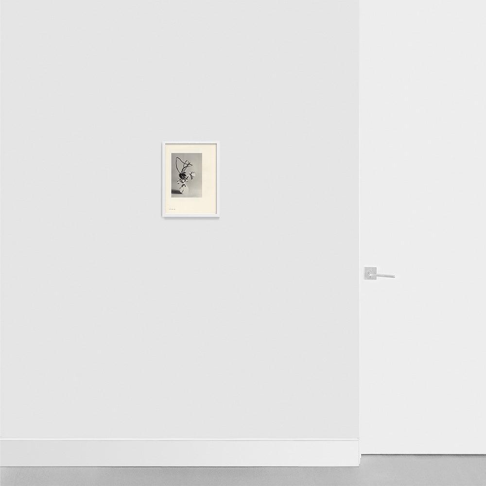 Print by Leigh Wells