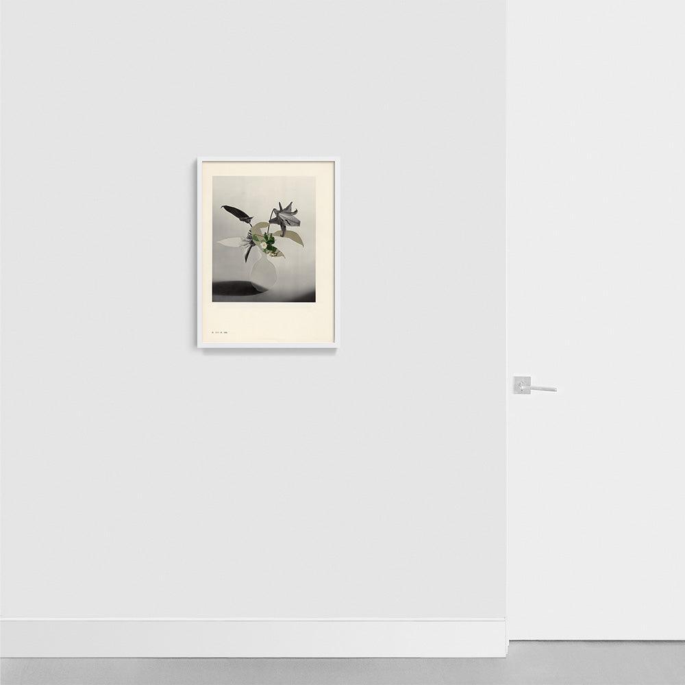 Print by Leigh Wells