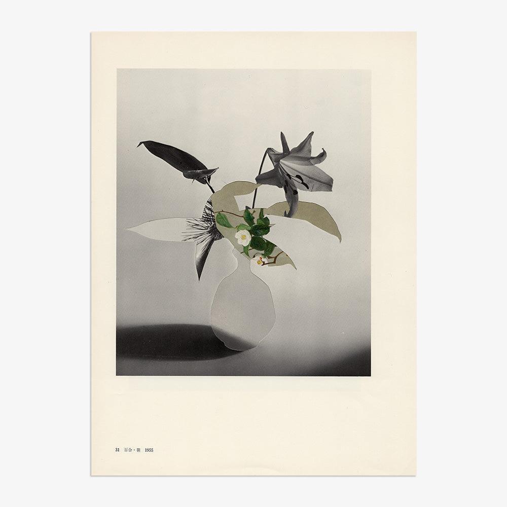 Print by Leigh Wells