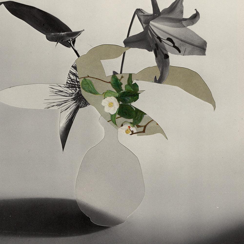 Print by Leigh Wells