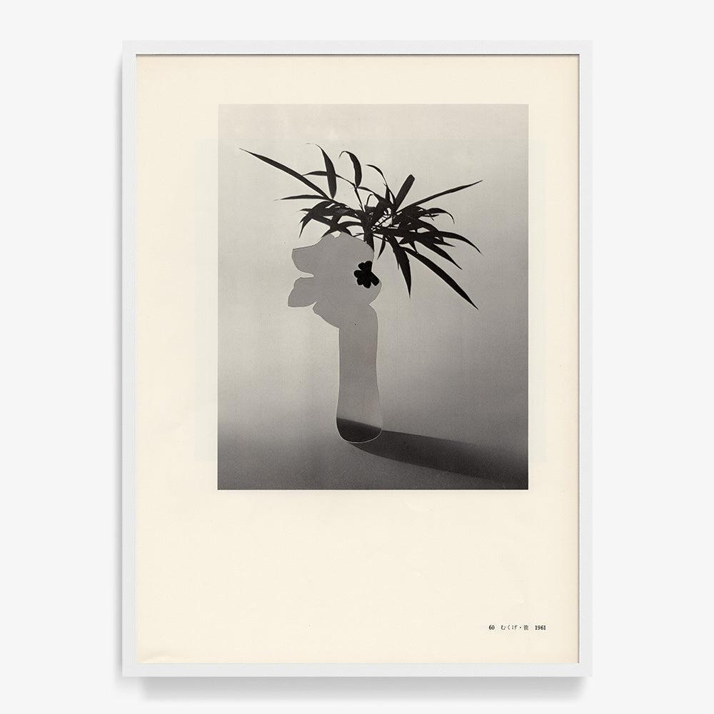 Print by Leigh Wells