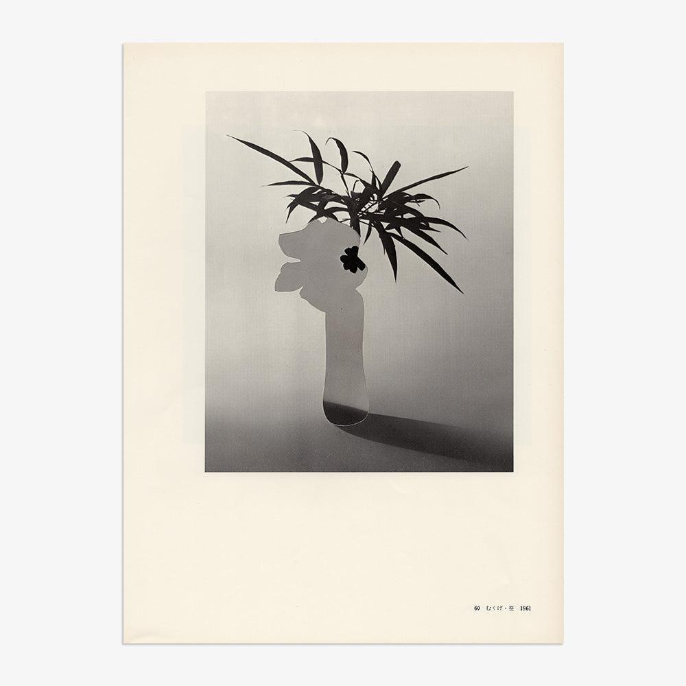 Print by Leigh Wells