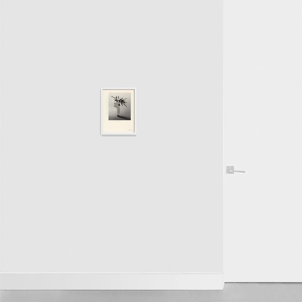 Print by Leigh Wells