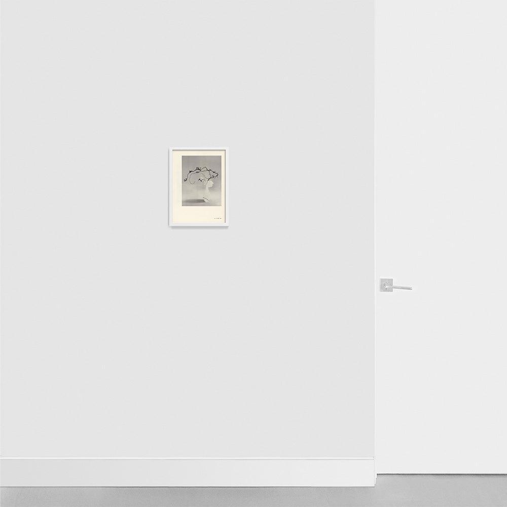 Print by Leigh Wells