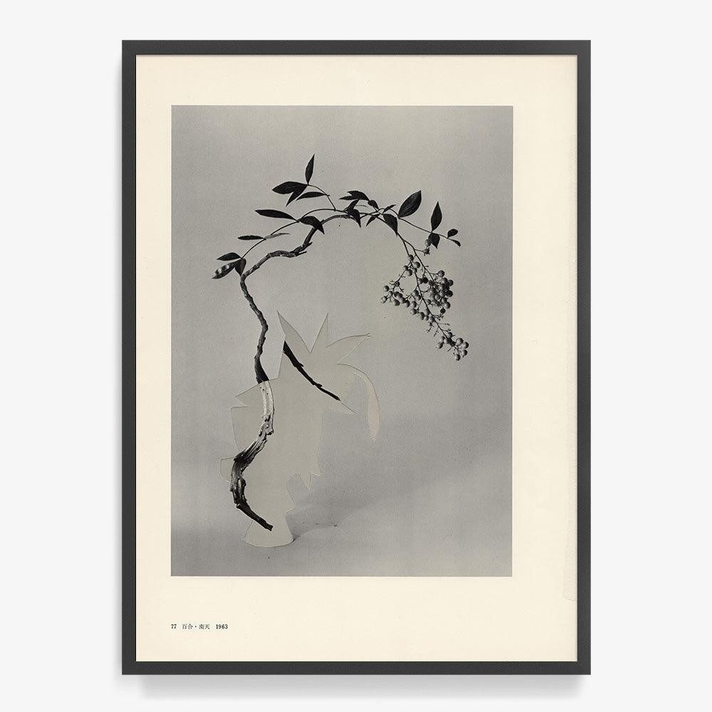 Print by Leigh Wells