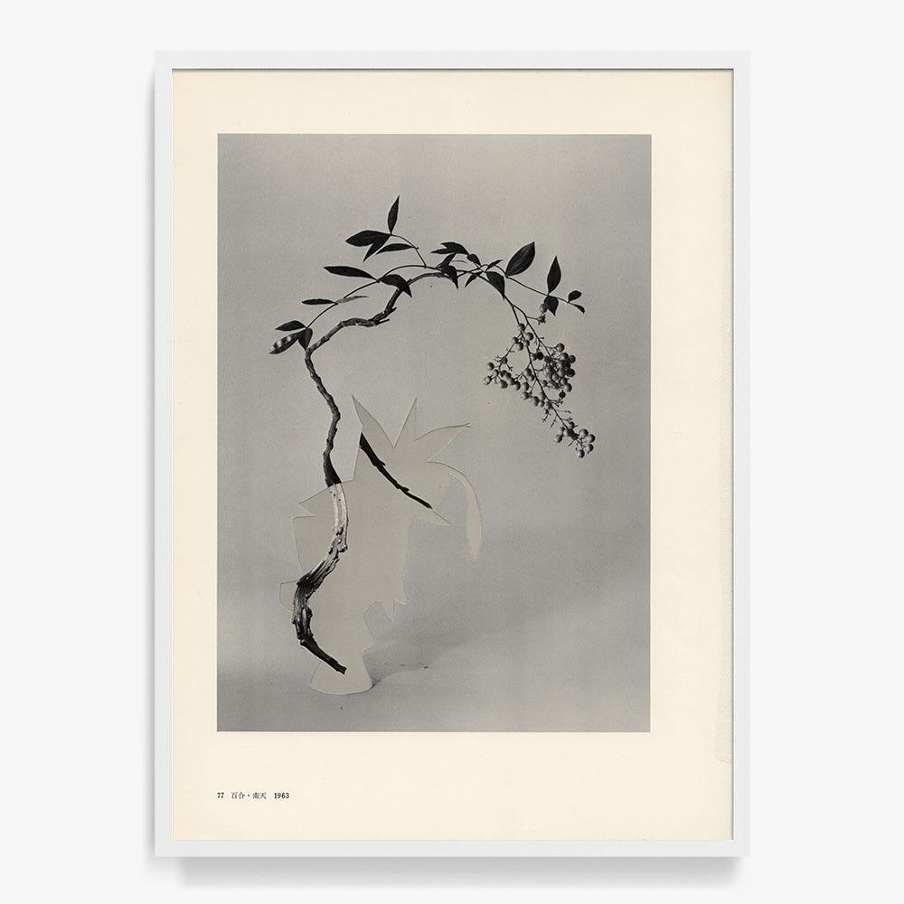 Print by Leigh Wells