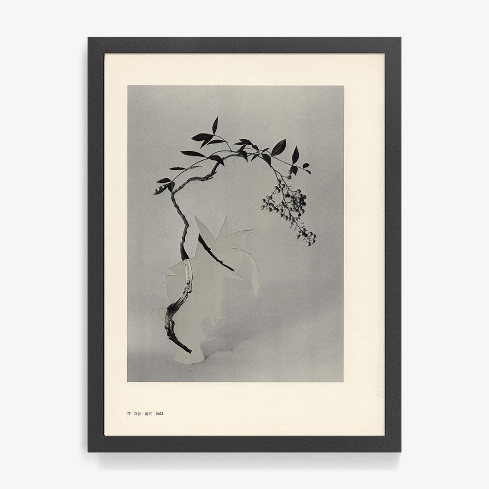 Print by Leigh Wells