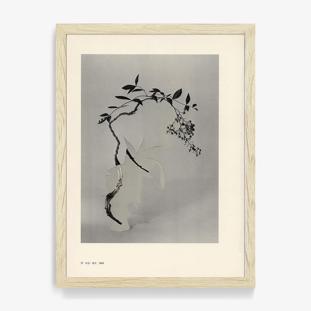 Print by Leigh Wells