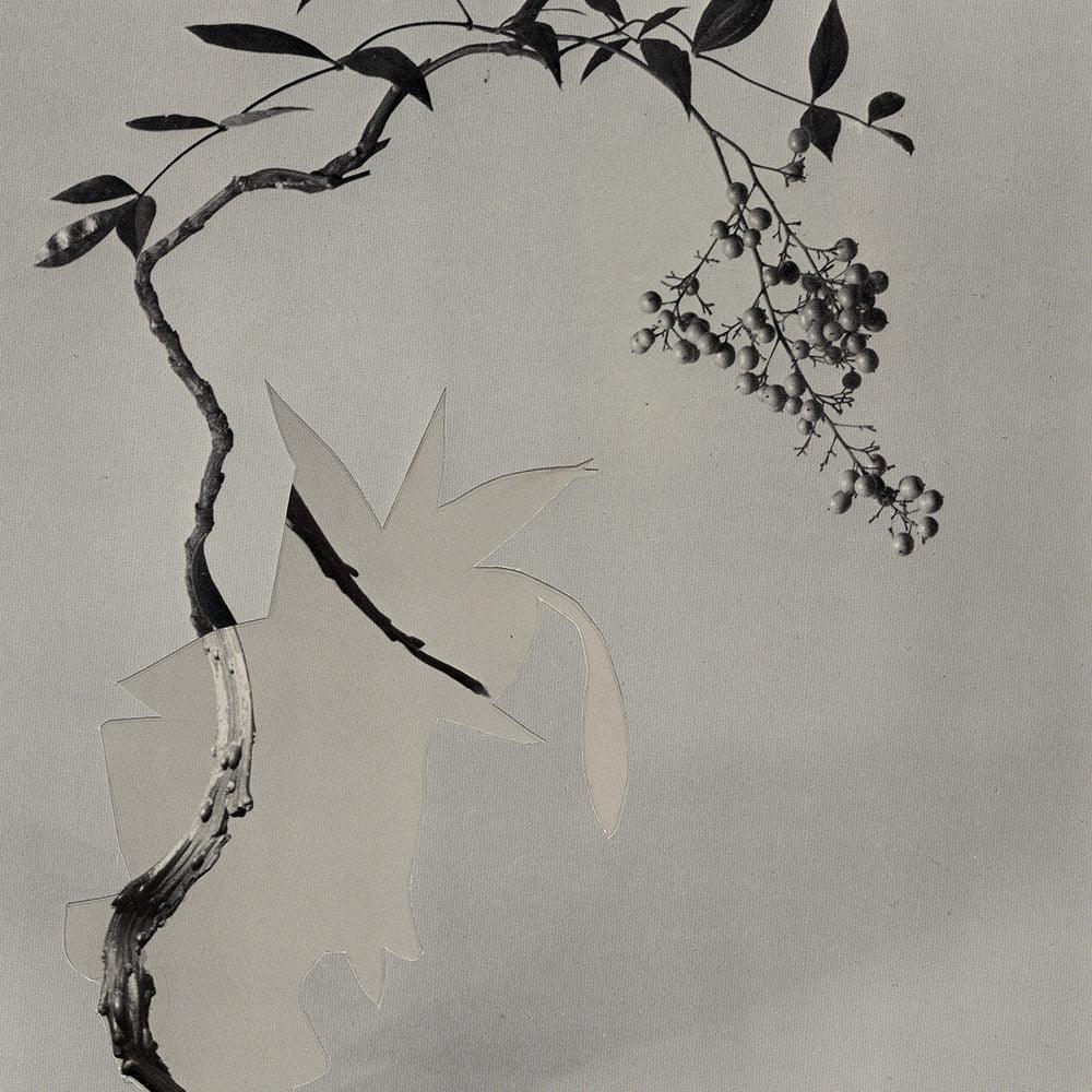 Print by Leigh Wells
