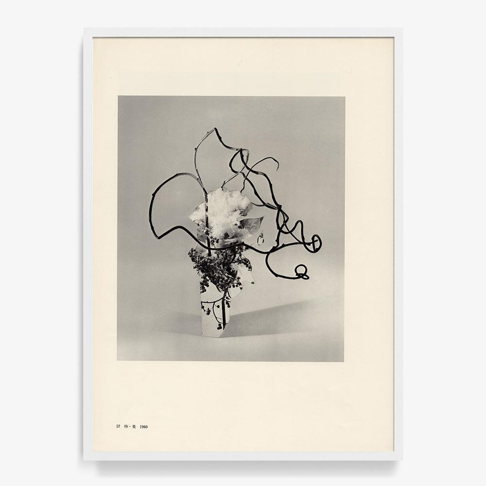 Print by Leigh Wells