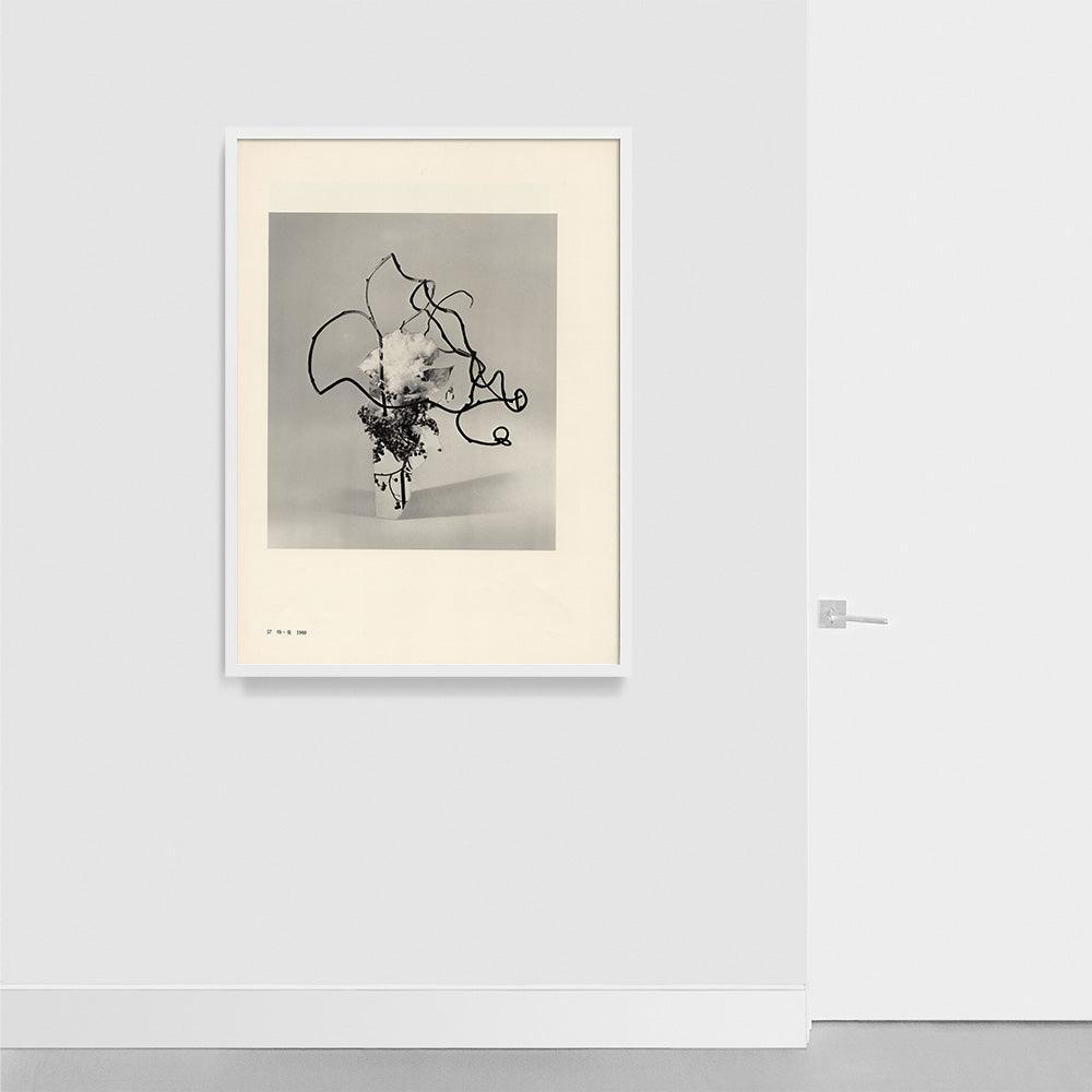Print by Leigh Wells