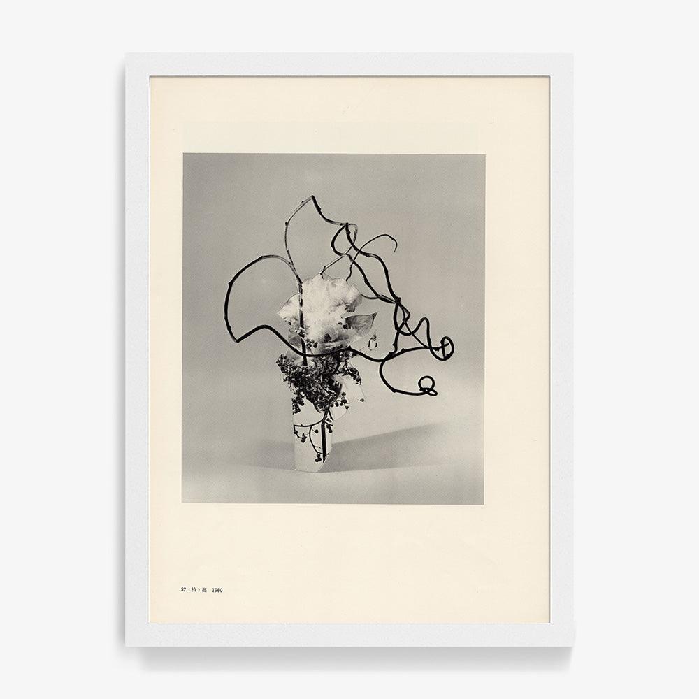 Print by Leigh Wells