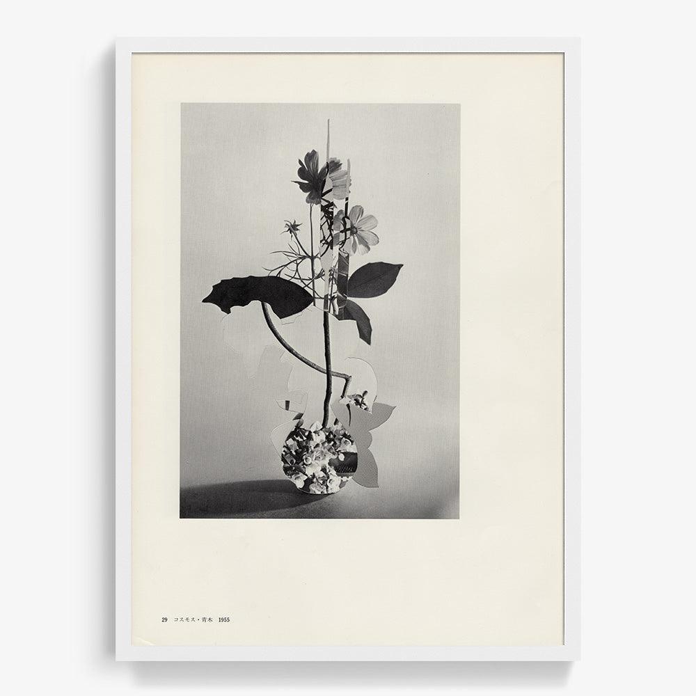 Print by Leigh Wells