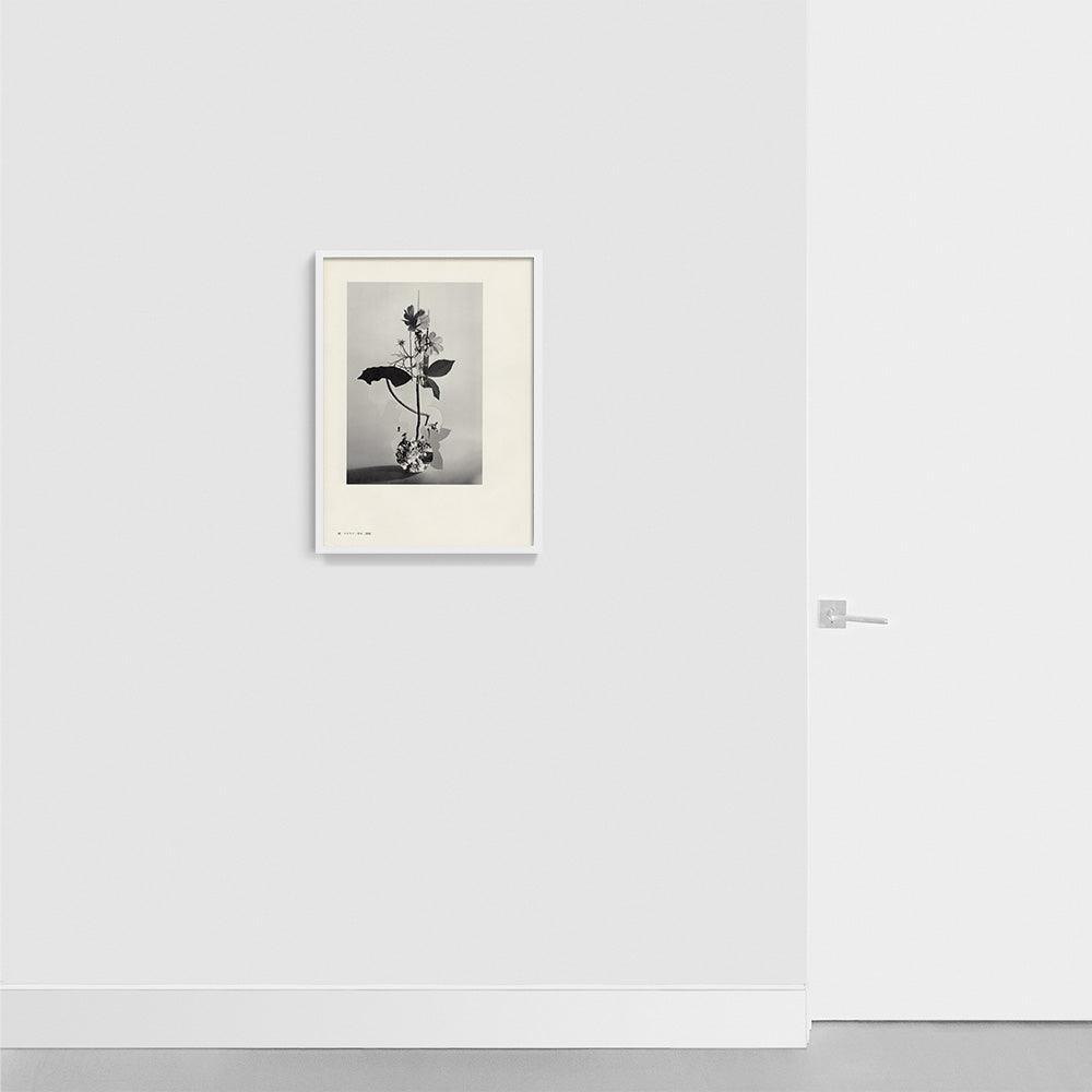 Print by Leigh Wells
