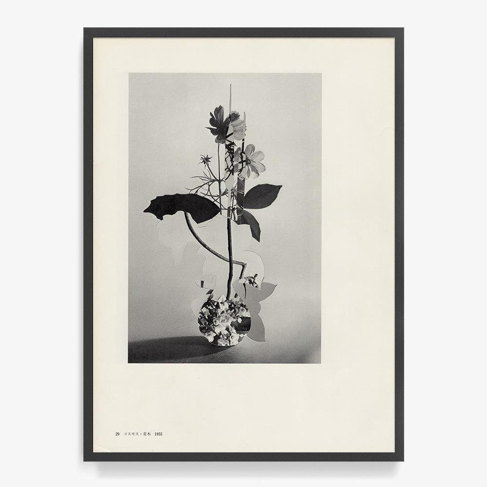 Print by Leigh Wells