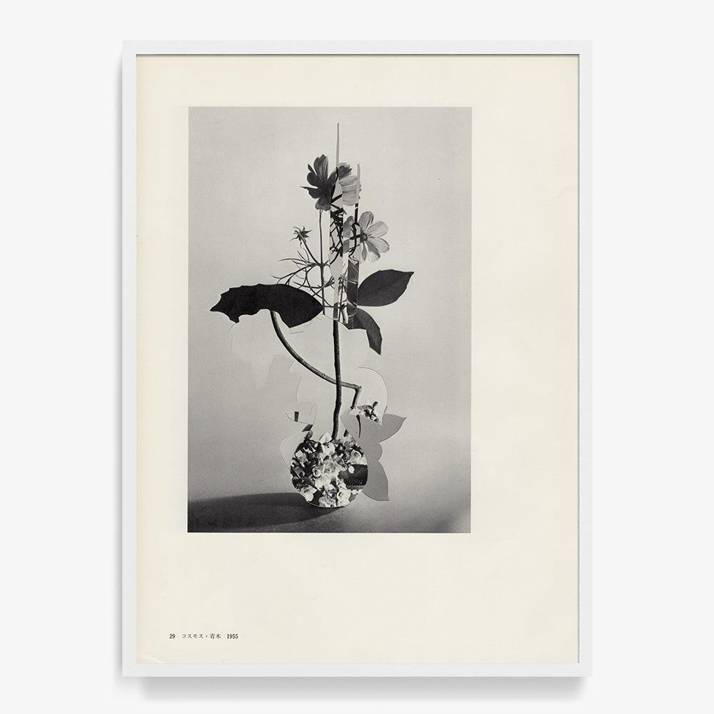 Print by Leigh Wells