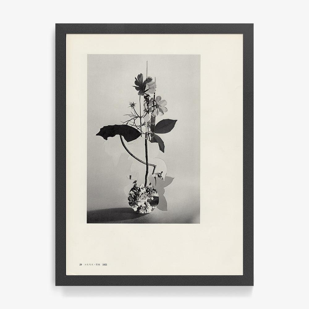 Print by Leigh Wells