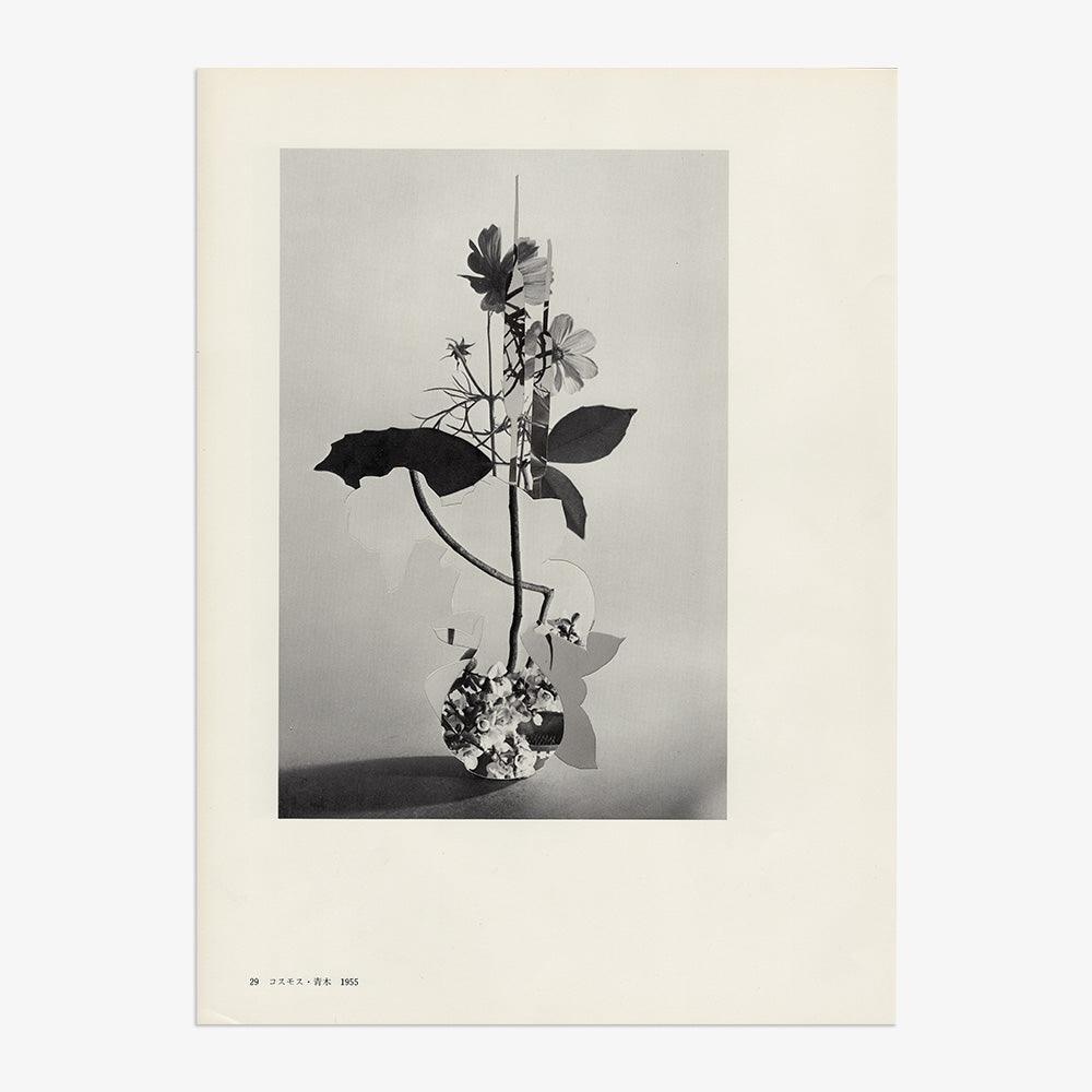 Print by Leigh Wells