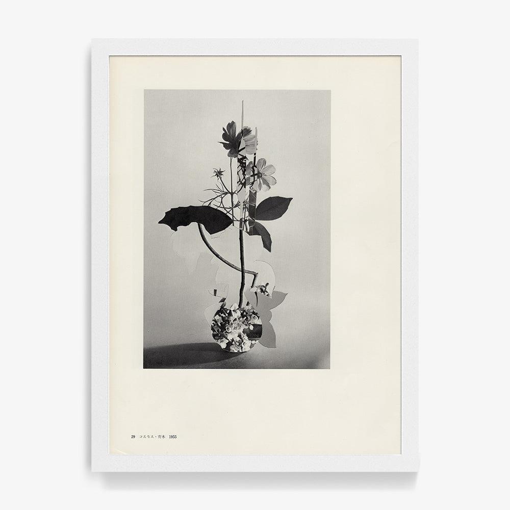 Print by Leigh Wells