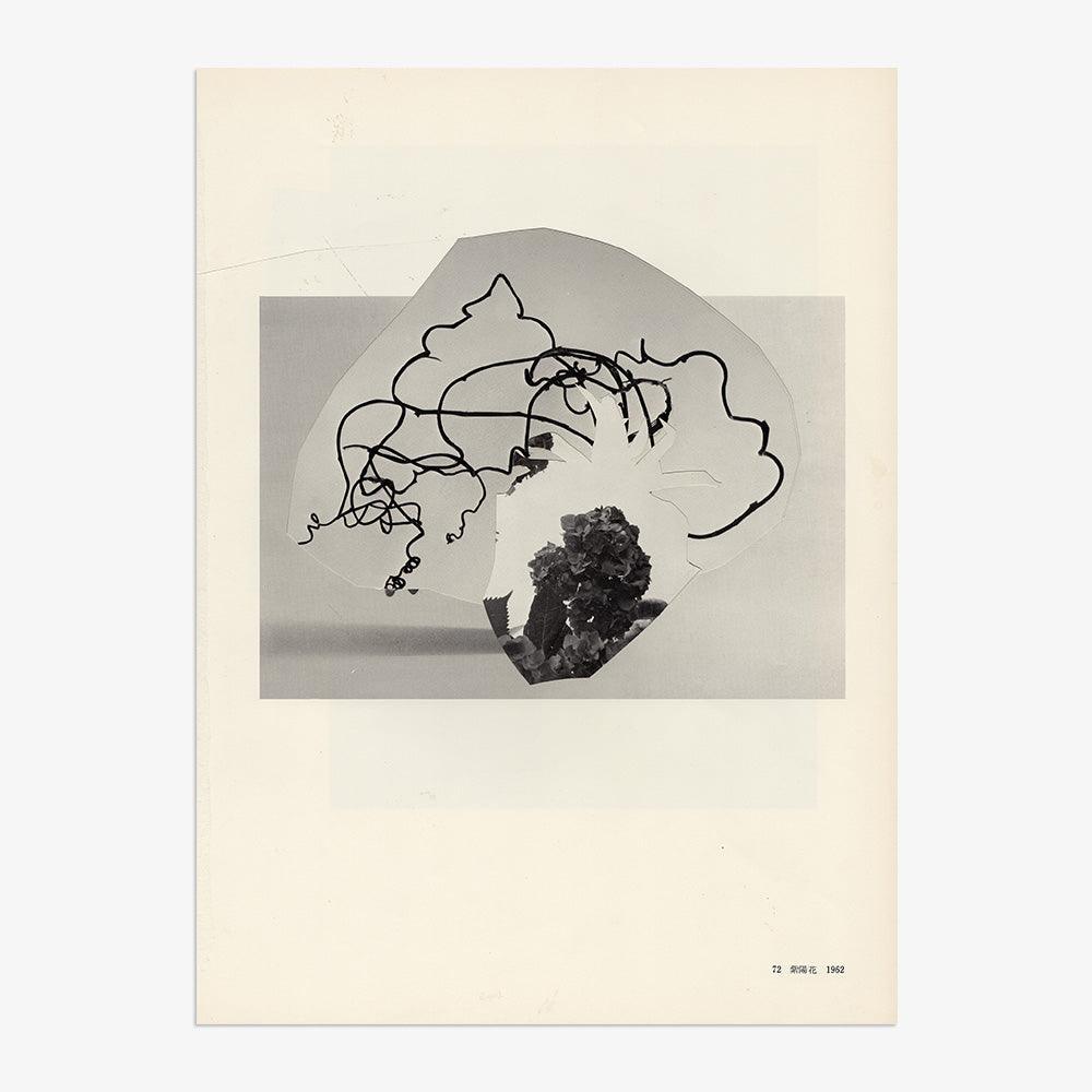 Print by Leigh Wells