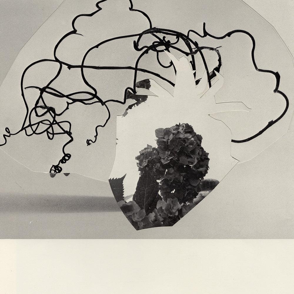 Print by Leigh Wells