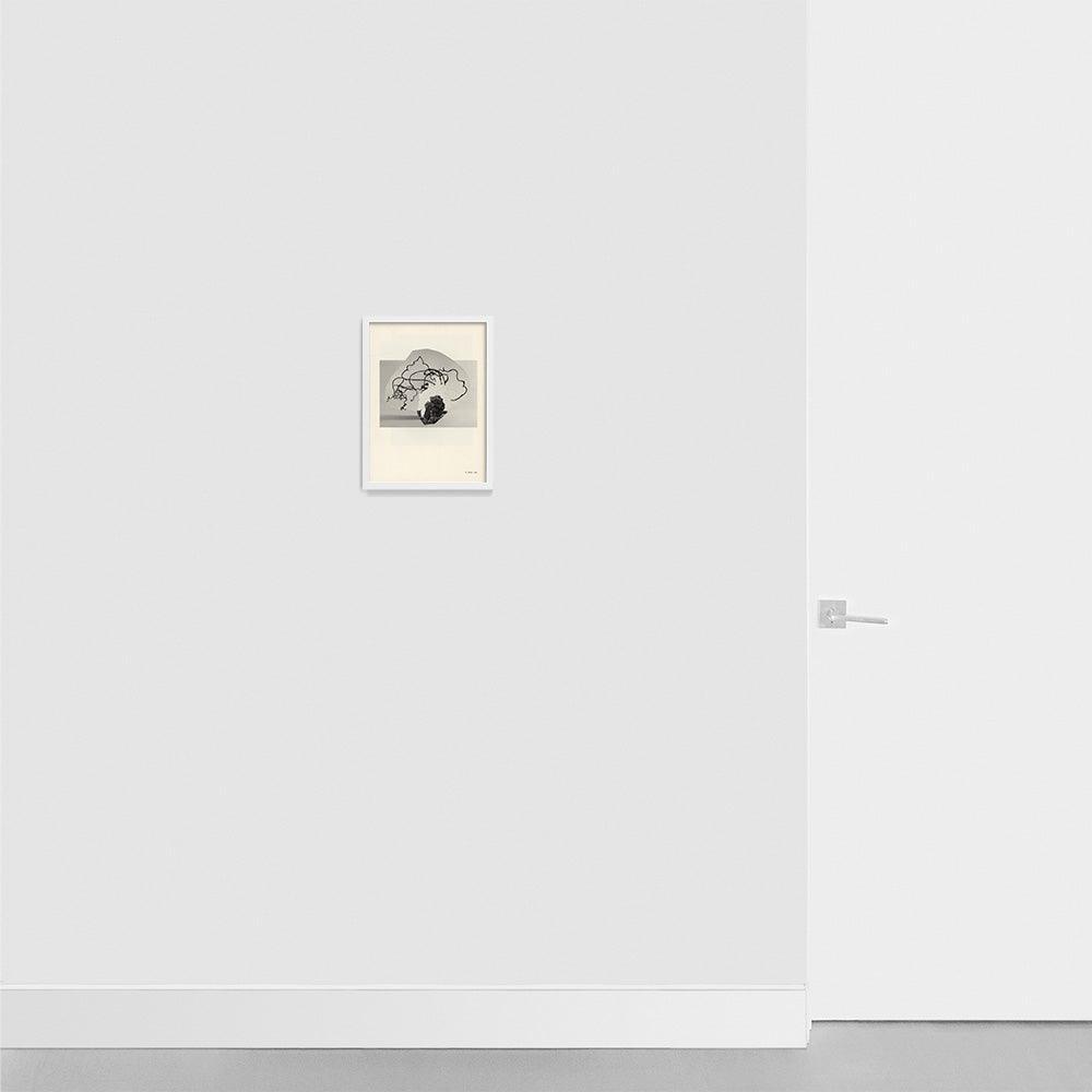 Print by Leigh Wells
