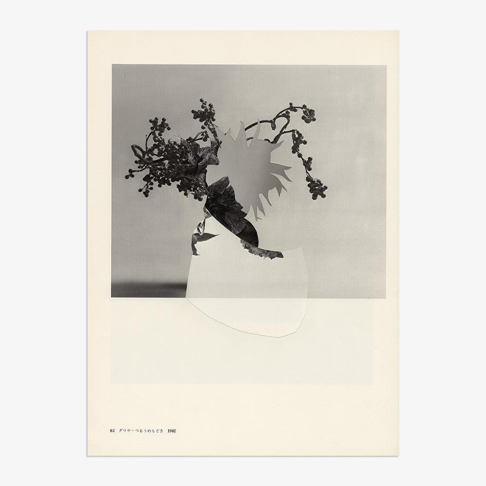 Print by Leigh Wells