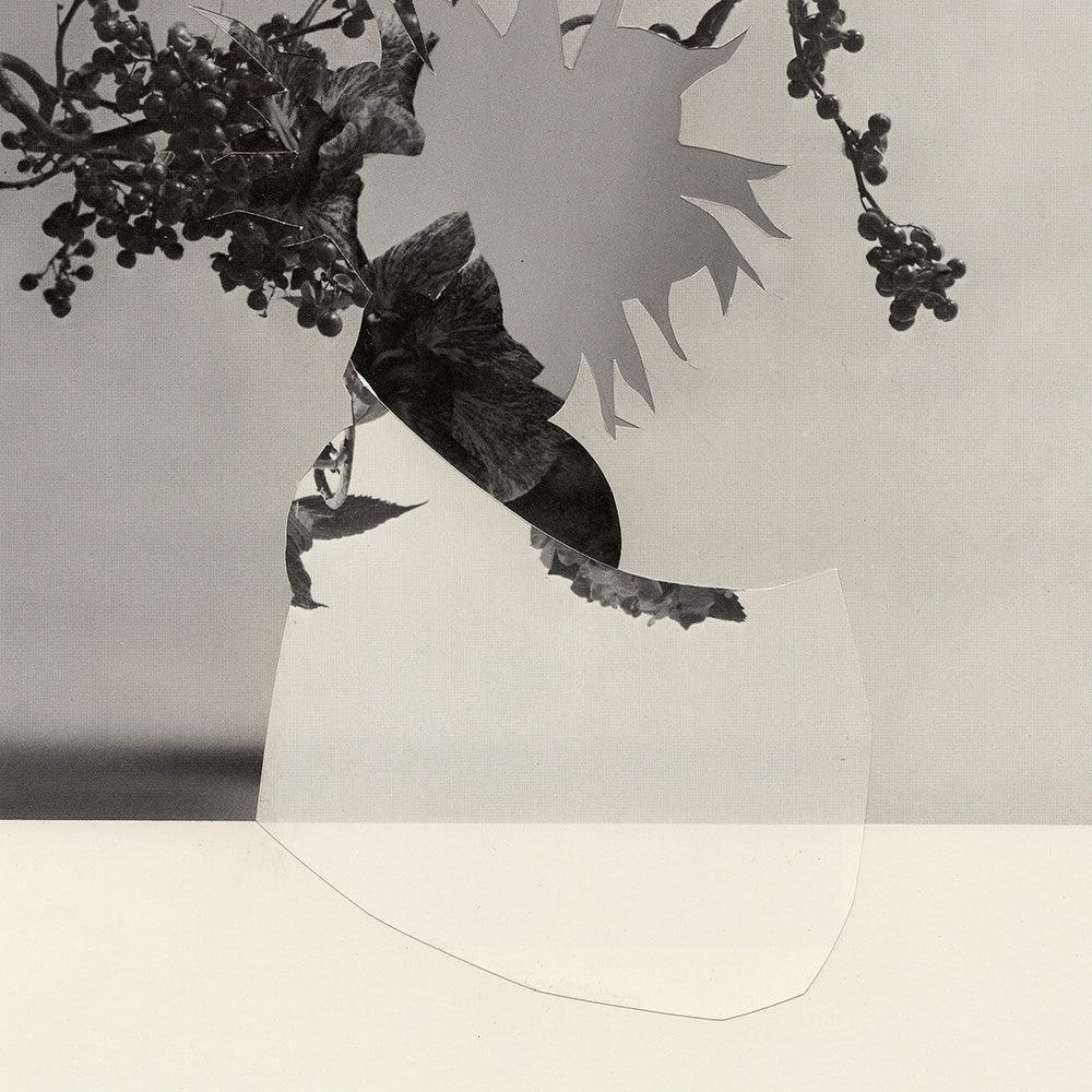 Print by Leigh Wells