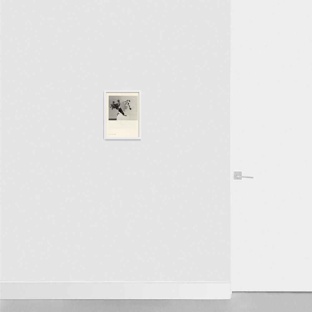Print by Leigh Wells