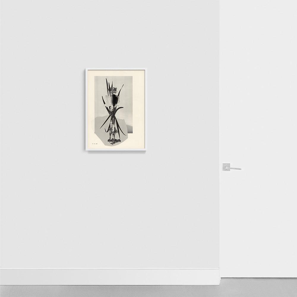 Print by Leigh Wells