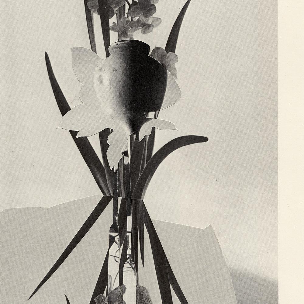 Print by Leigh Wells