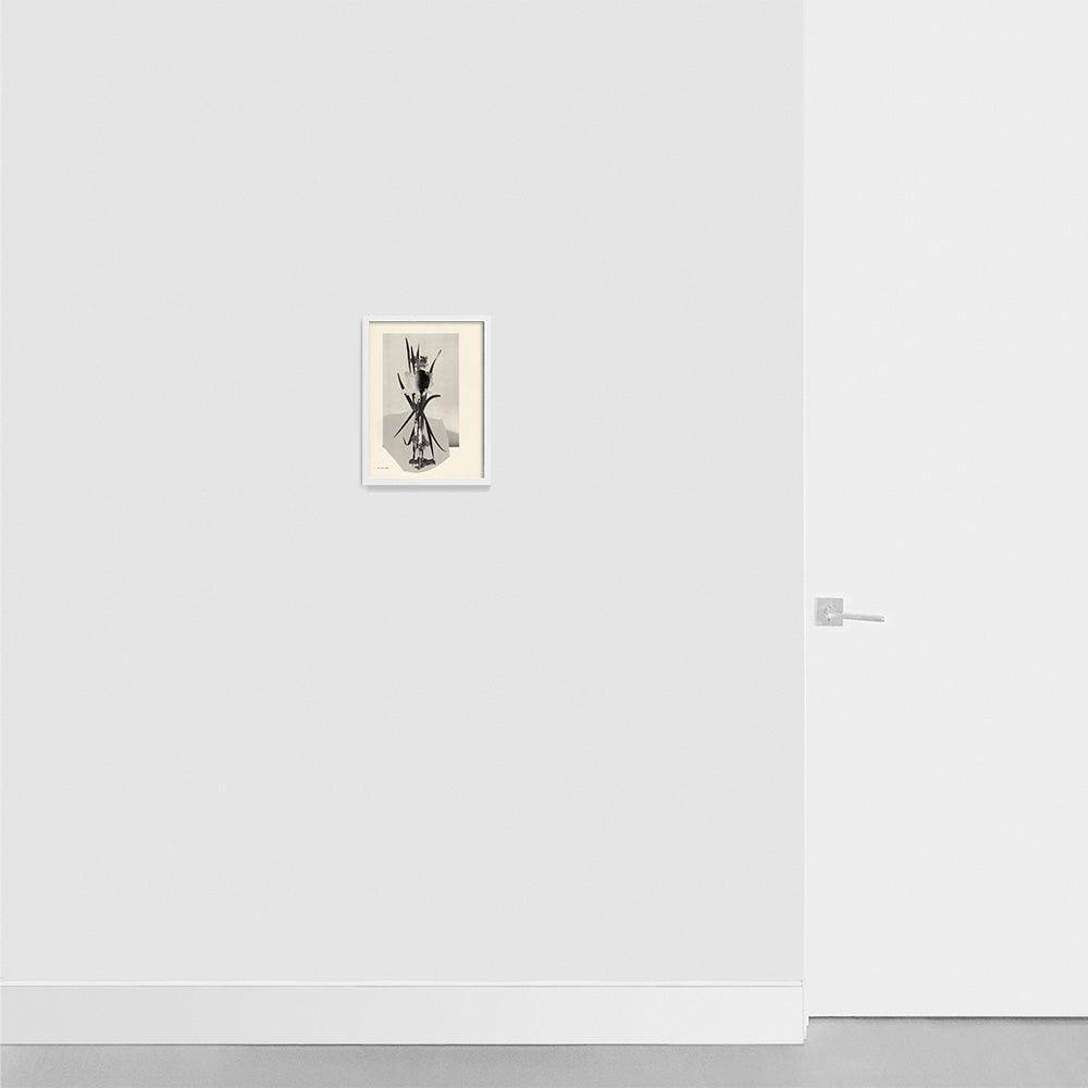 Print by Leigh Wells