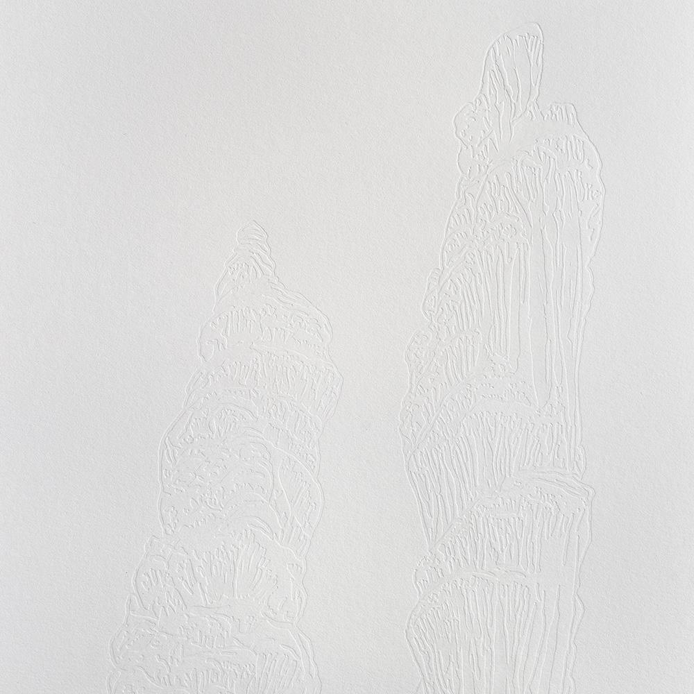 Lechuguilla Columns, Print  by  Lechuguilla Columns Tappan