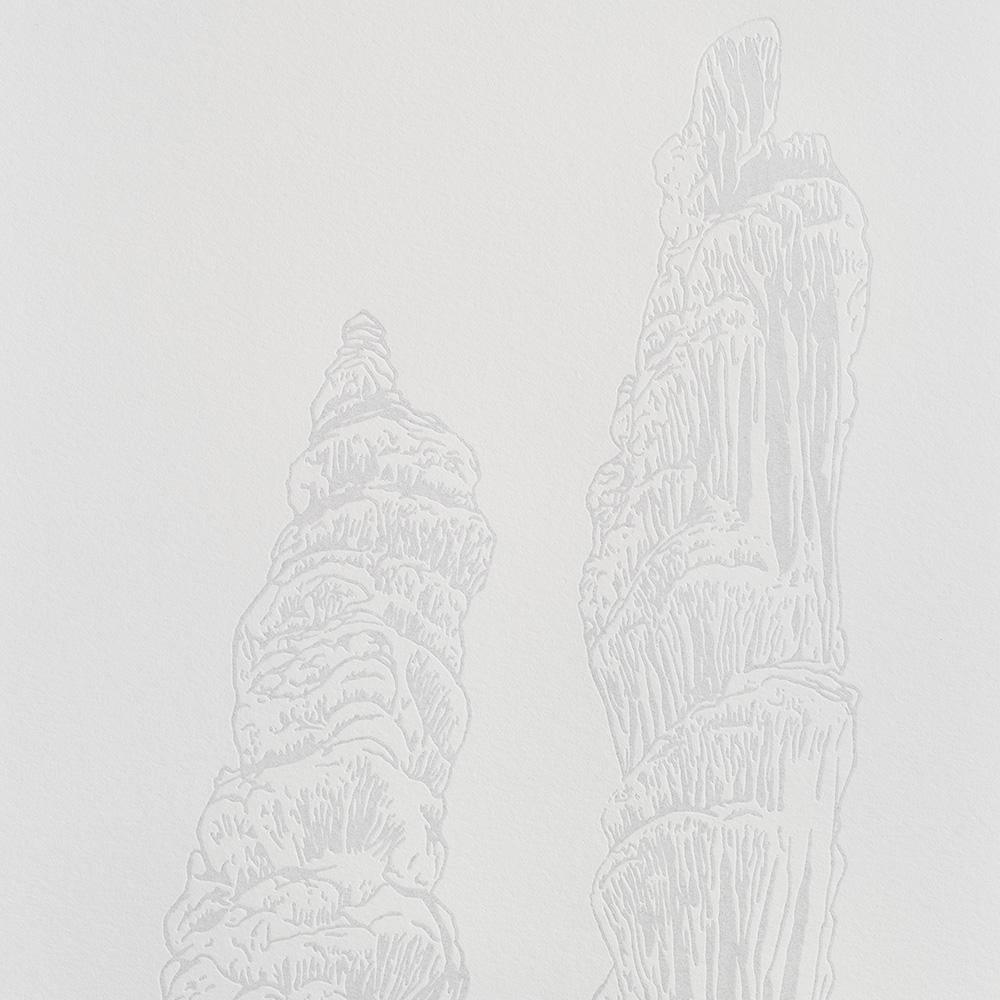 Lechuguilla Columns, Print  by  Lechuguilla Columns Tappan