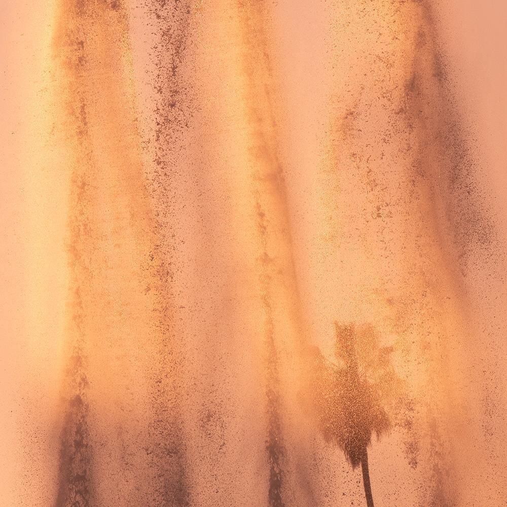 Lucidity, Photograph  by  Lucidity Tappan