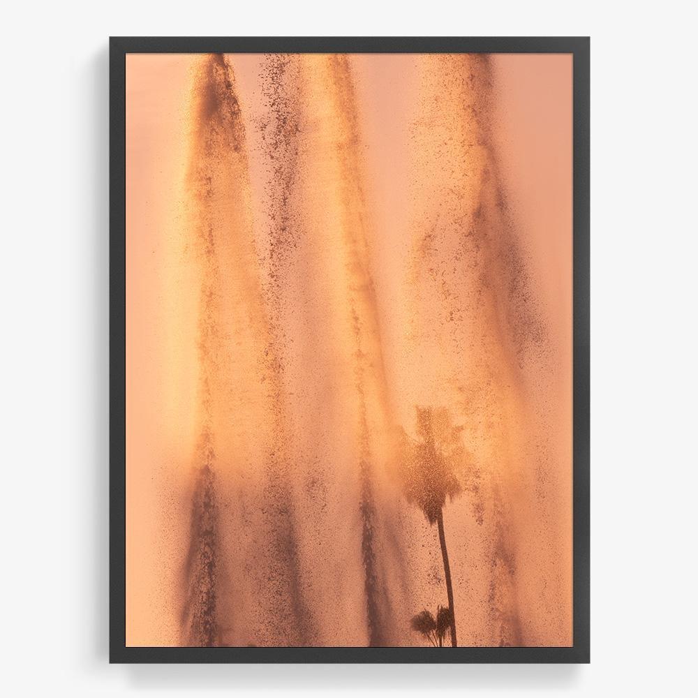 Lucidity, Photograph  by  Lucidity Tappan
