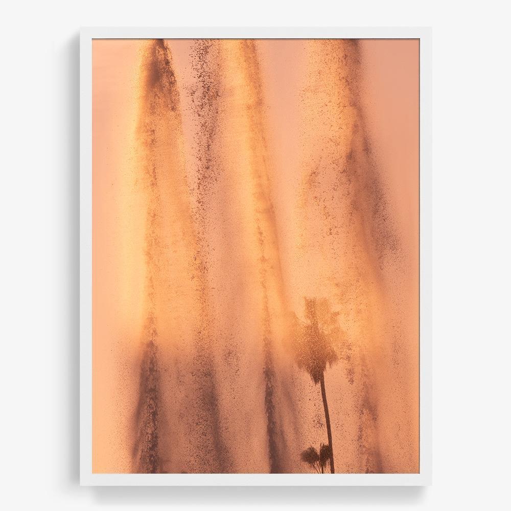 Lucidity, Photograph  by  Lucidity Tappan