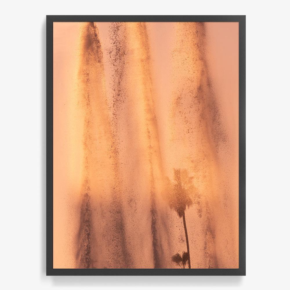Lucidity, Photograph  by  Lucidity Tappan