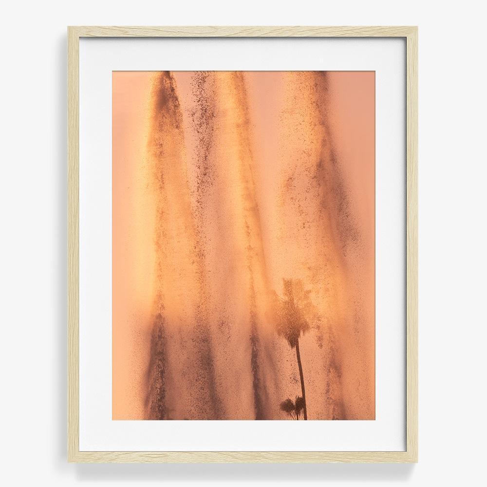 Lucidity, Photograph  by  Lucidity Tappan