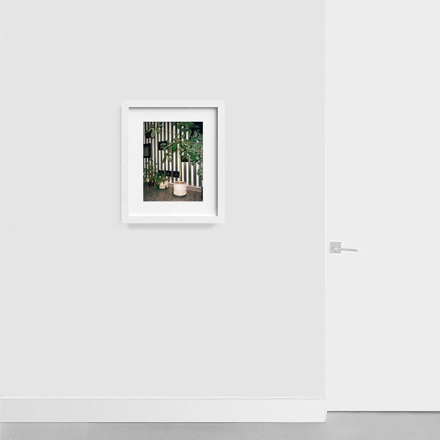 Condesa, Photograph  by  Condesa Tappan