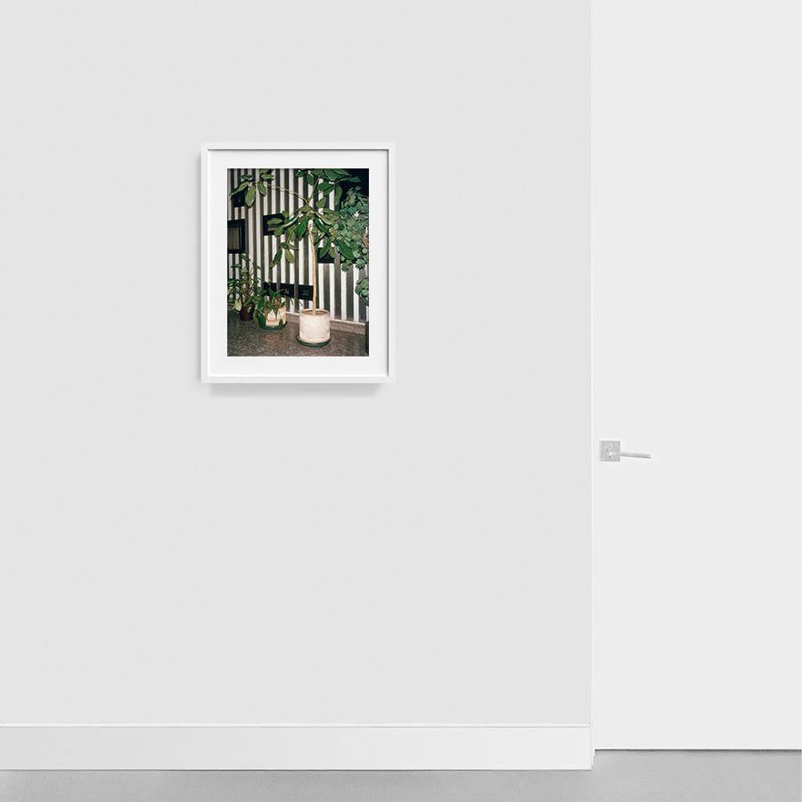 Condesa, Photograph  by  Condesa Tappan