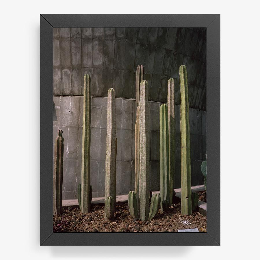 Museo de Caracol, Photography  by  Museo de Caracol Tappan