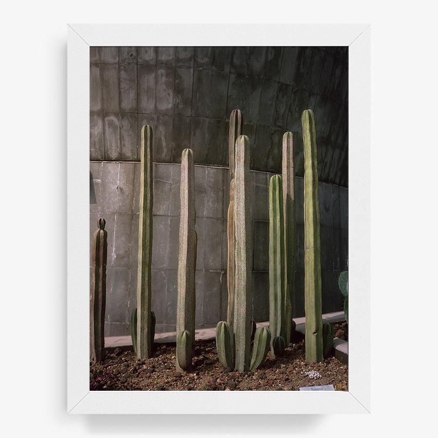 Museo de Caracol, Photography  by  Museo de Caracol Tappan